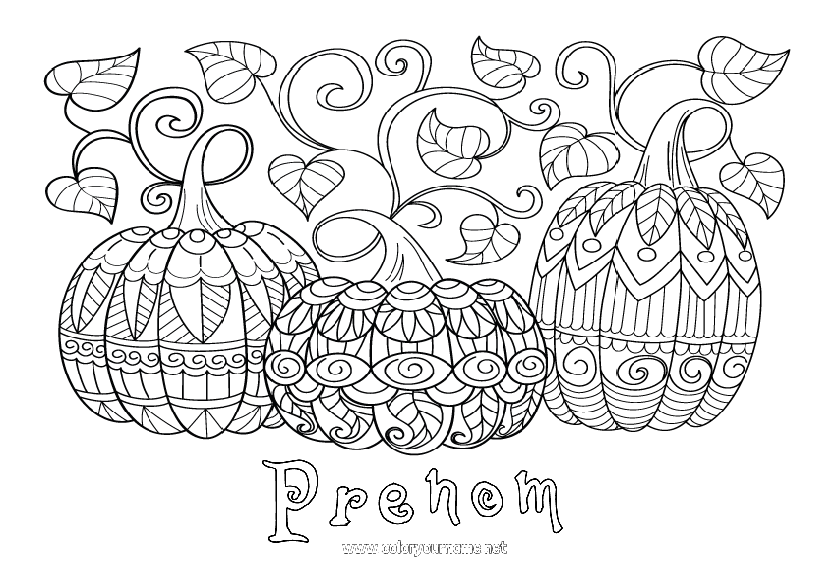 Coloriage N221 Citrouille Halloween Mandala