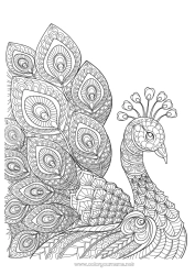 Coloriage personnalisable Animal Paon Coloriages complexes Zentangle Oiseaux et mammifères volants