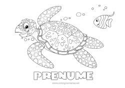 Pagină de colorat personalizată Broască țestoasă Vara Mare Animal Pește Animale marine sau acvatice Reptile Broască țestoasă marină