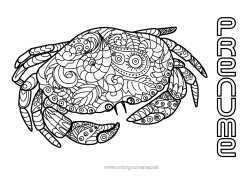 Pagină de colorat personalizată Liniștit și zen Mandala Vara Animal Crab Zentangle Anti-stres Animale marine sau acvatice