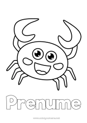 Pagină de colorat personalizată Drăguț Mare Animal Crab Desene de colorat ușoare Animale marine sau acvatice