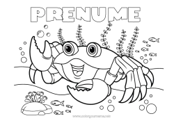 Pagină de colorat gratuită Mare Animal Crab Animale marine sau acvatice