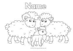 Coloring to customize Sheep Animal Easy coloring pages Farm animals Family