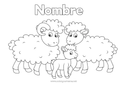 Dibujo libre Ovejas Animales Dibujos fáciles para colorear Animales de granja Familia