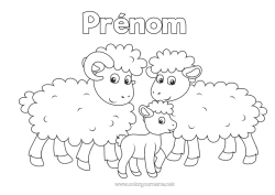 Coloriage à personnaliser Mouton Animal Coloriages faciles Animaux de la ferme Famille