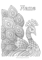 Coloring to customize Animal Peacock Complex coloring pages Zentangle Flying birds and mammals