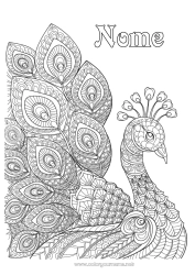 Desenho para personalizar Animal Pavão Colorações Complexas Zentangle Pássaros e mamíferos voadores