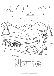 Free drawing Sport Snow Winter Sled Animal Dog and cat Winter Sports Husky