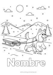 Dibujo libre Sport Nieve Invierno Trineo Animales Perros y gatos Deportes de Invierno Husky