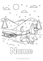 Desenho para personalizar Esporte Neve Inverno Trenó Animal Cães e gatos Esportes de Inverno Husky