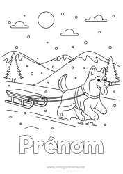 Coloriage gratuit Sport Neige Hiver Luge Animal Chiens et chats Sports d'hiver Husky