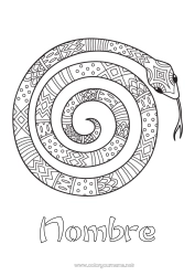 Colorear gratis Animales Serpiente Dibujos intermedios para colorear Zentangle Reptiles