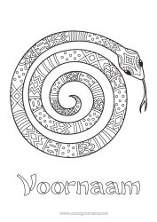 Gratis kleurplaat Dier Slang Intermediaire kleurplaten Zentangle Reptielen