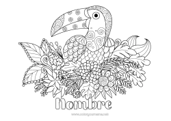 Dibujo libre Flores Animales Tucán Zentangle Aves y mamíferos voladores