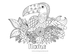 Colorazione gratuita Fiori Animale Tucano Zentangle Uccelli e mammiferi volanti