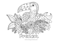 Dessin gratuit Fleurs Animal Toucan Zentangle Oiseaux et mammifères volants