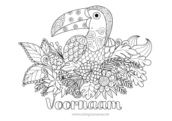 Gratis tekening Bloemen Dier Toekan Zentangle Vogels en vliegende zoogdieren