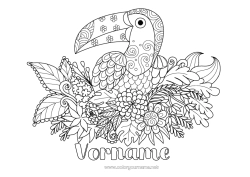 Kostenlose Zeichnung Blumen Tier Tukan Zentangle Vögel und fliegende Säugetiere