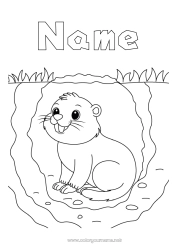 Free coloring Animal Forest animals Groundhog Groundhog Day Burrows