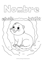 Dibujo libre Animales Animales del bosque Marmota Día de la Marmota Madrigueras