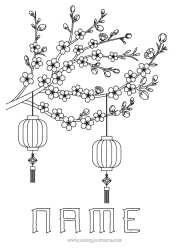 Free drawing Chinese lantern Japan Tree China Cherry tree