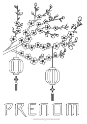 Coloriage à personnaliser Lanterne chinoise Japon Arbre Chine Cerisier