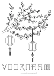 Kleurplaat aanpassen Chinese lantaarn Japan Boom China Kersenboom