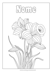 Desenho para personalizar Flores Narcisos Zentangle