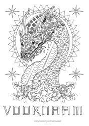 Gratis kleurplaat Bloemen Draak Dier Complex Kleurplaten Zentangle Draken, eenhoorns en fantastische dieren