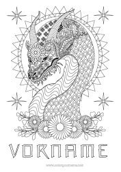 Malvorlage anpassen Blumen Drache Tier Komplexe Ausmalbilder Zentangle Drachen, Einhörner und fantastische Tiere