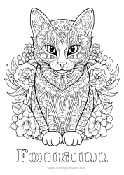 Färgläggningssida att anpassa Katt Mandala Djur Komplexa målarbilder Zentangle Hundar och katter