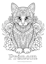 Coloriage gratuit Chat Mandala Animal Coloriages complexes Zentangle Chiens et chats