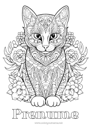 Pagină de colorat personalizată Pisică Mandala Animal Desene de colorat complexe Zentangle Câini și pisici