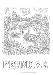 Pagină de colorat personalizată Animal Lebădă Desene de colorat complexe Zentangle Păsări și mamifere zburătoare Pod