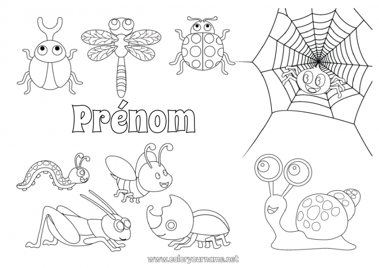 Coloriage à imprimer Araignée Animal Escargot Coccinelle Coloriages intermédiaires Insectes Libellule