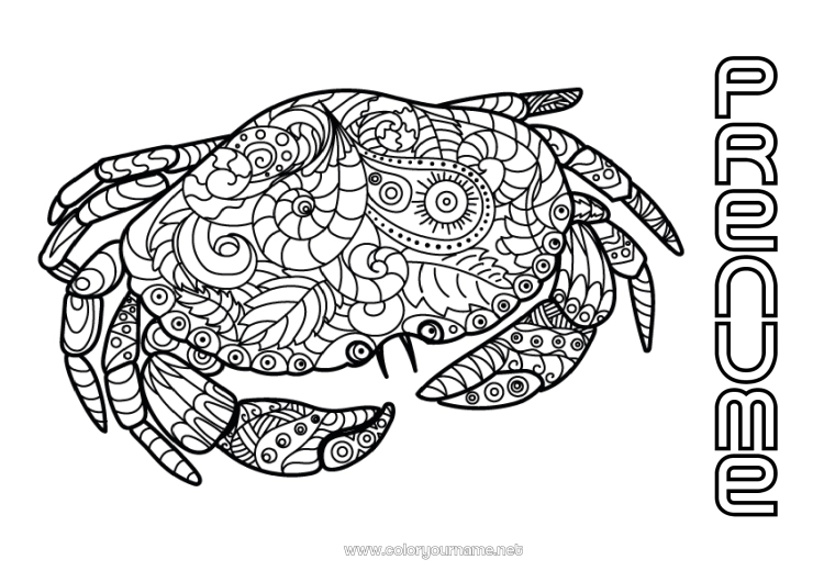 Pagină de colorat de imprimat Liniștit și zen Mandala Vara Animal Crab Zentangle Anti-stres Animale marine sau acvatice