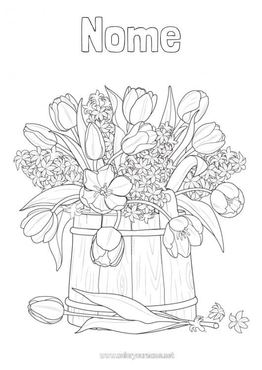 Página de desenho para imprimir Flores Primavera Tulipa Jacinto