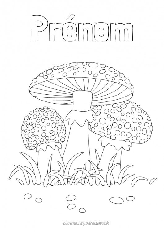 Coloriage à imprimer Automne Champignon