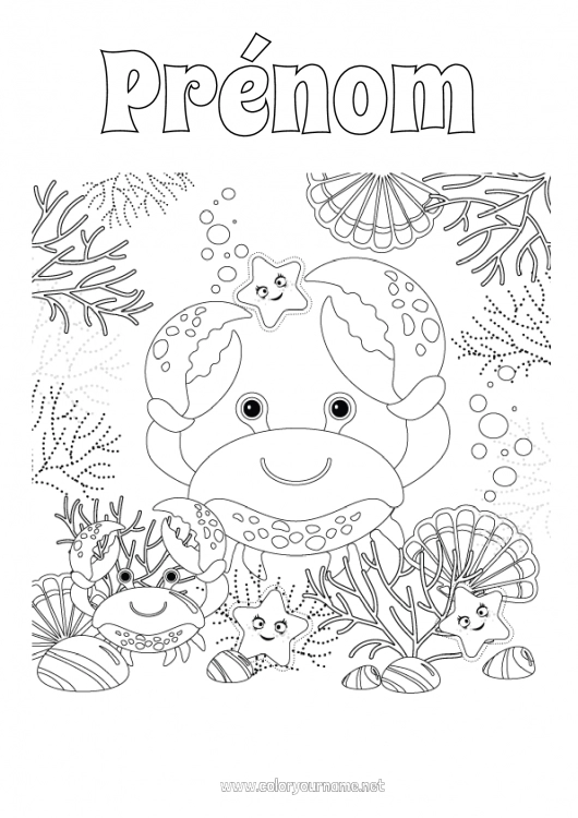 Coloriage à imprimer Mer Animal Crabe Coquillages Coloriages intermédiaires Étoile de mer Animaux marins ou aquatique