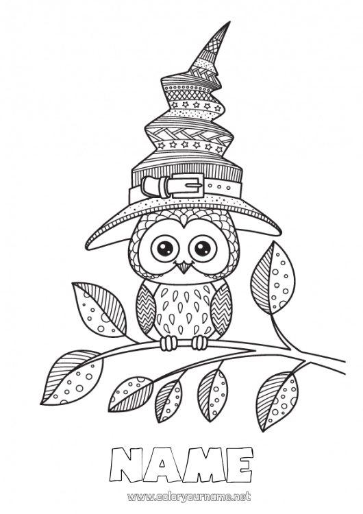 Coloring page to print Witch Halloween Mandala Owl Hat Flying birds and mammals