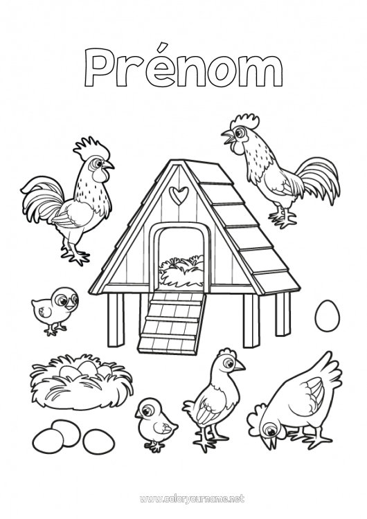 Coloriage à imprimer Poule Poussin Animal Coq Animaux de la ferme Oeuf Fermier Métiers de la ferme