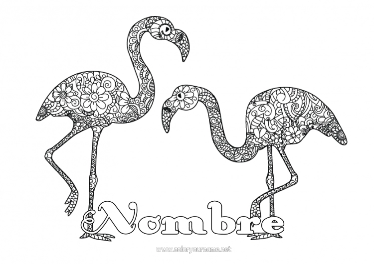 Dibujo para colorear para imprimir Animales Dibujos complejos para colorear Flamenco rosa Zentangle Aves y mamíferos voladores