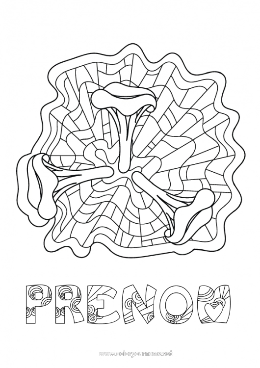 Coloriage à imprimer Mandala Champignon Coloriages intermédiaires