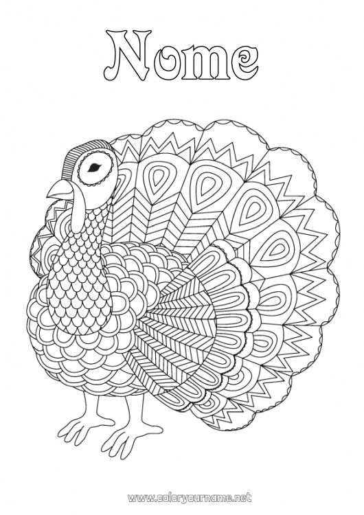 Pagina da colorare da stampare Animale Pavone Colorazioni complesse Zentangle Uccelli e mammiferi volanti