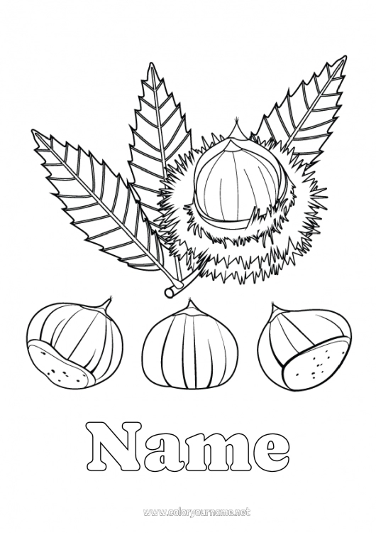 Coloring page to print Tree Chestnut