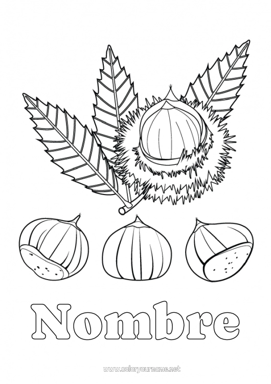 Dibujo para colorear para imprimir Árbol Castaña