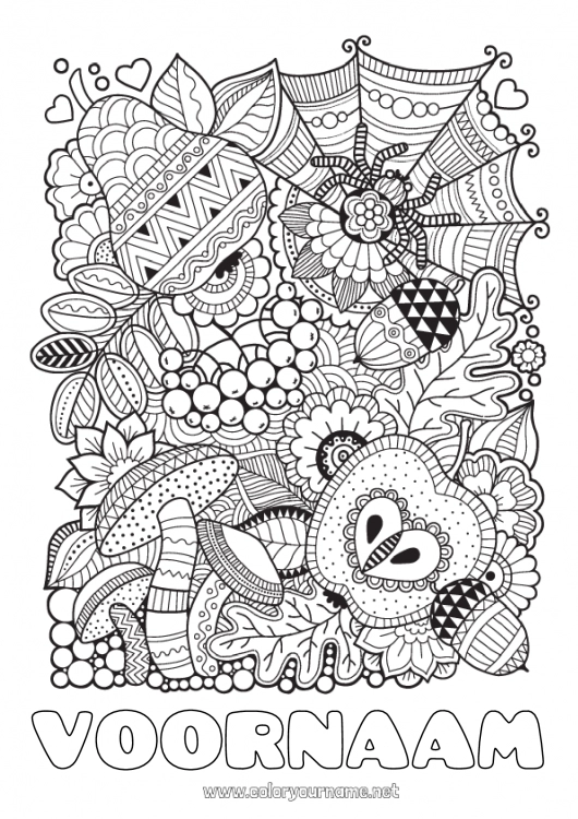 Kleurplaat om af te drukken Spin Herfst Zentangle Insecten Eikel