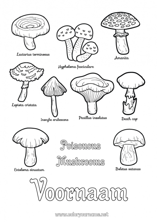 Kleurplaat om af te drukken Activiteiten voor Kinderen Paddestoel