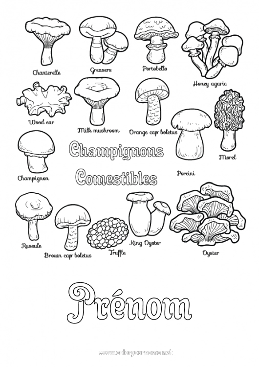 Coloriage à imprimer Activités enfants Champignon