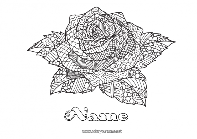 Coloring page to print Rose Complex coloring pages Zentangle Saint George